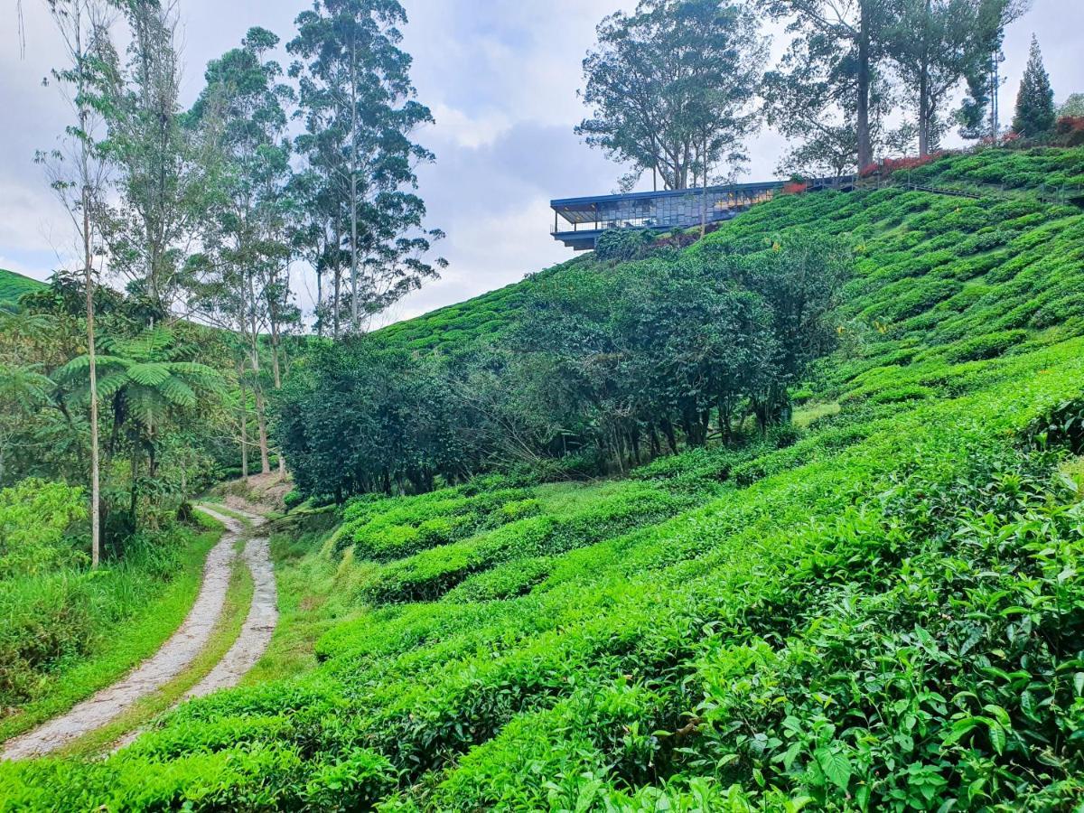 Mossy Forest Family Retreat, Kea Farm Brinchang Extérieur photo