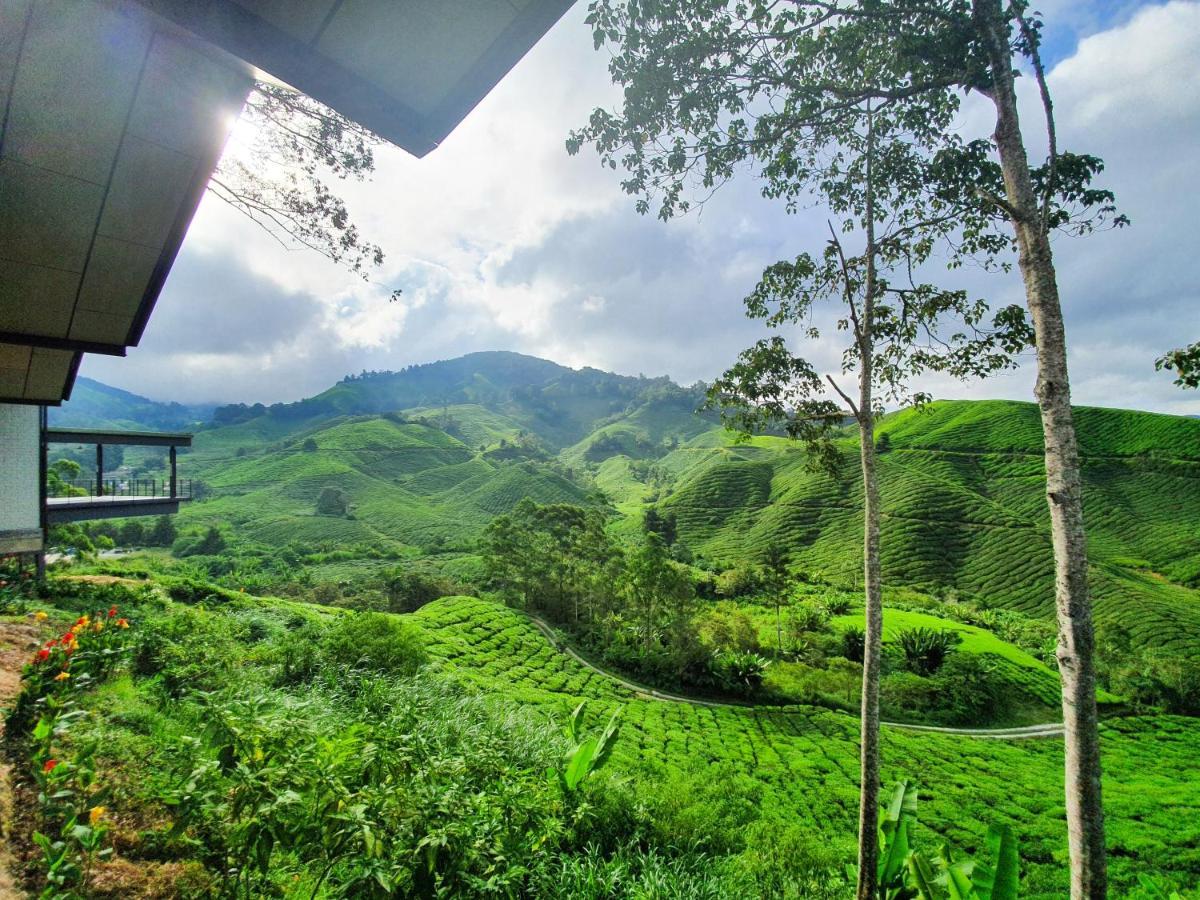 Mossy Forest Family Retreat, Kea Farm Brinchang Extérieur photo